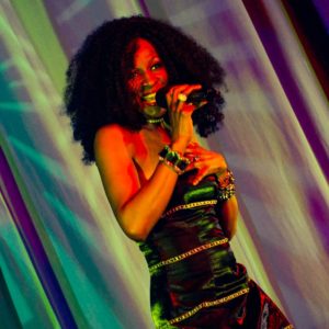 Diana Ross Tribute Act Performing Live