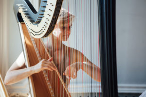Alex Professional Harpist Through The Harp Strings