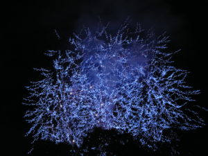 Firework Display For Private Party